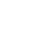 icon-stella-bianca